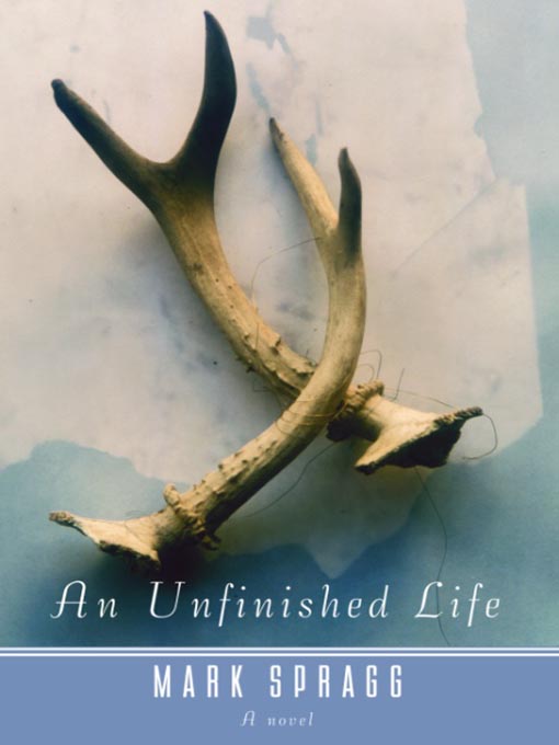 Title details for An Unfinished Life by Mark Spragg - Wait list
